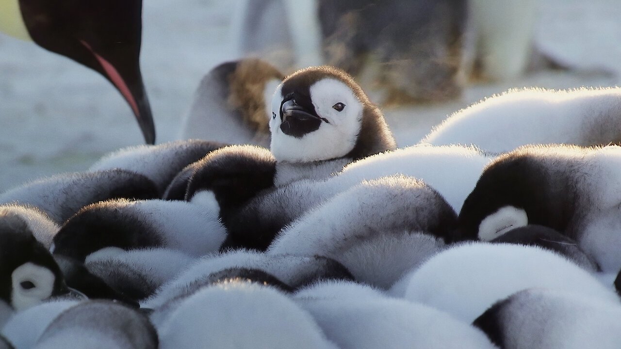 Скріншот